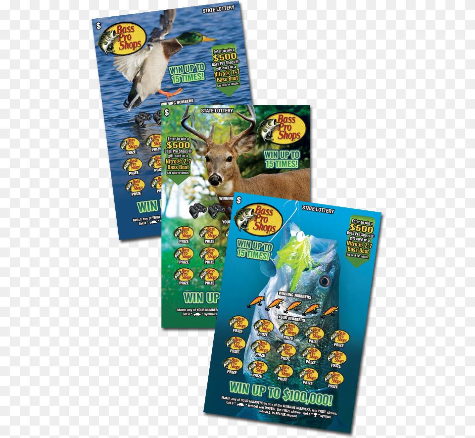 Bass Pro Shops Duck, Advertisement, Animal, Deer, Mammal Free Png