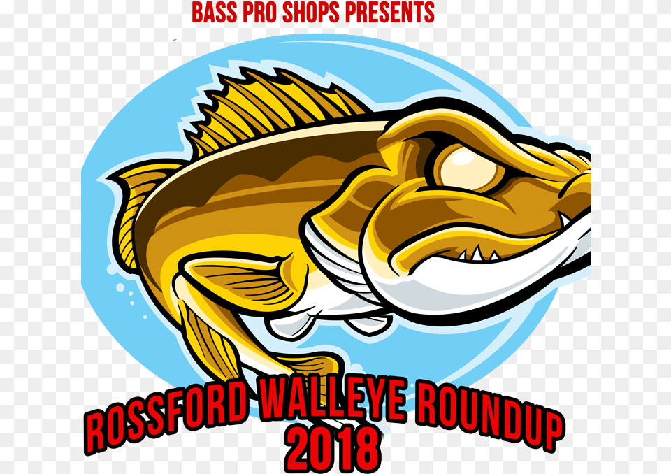 Bass Pro Shops Rossford Walleye Roundup Sticker Angry Fish Looks R Durable Boat 10 X, Animal, Sea Life, Person Png Image