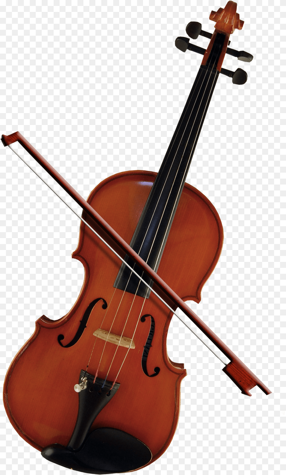 Bass Violin Cello Violone Viola Viola, Musical Instrument Free Png