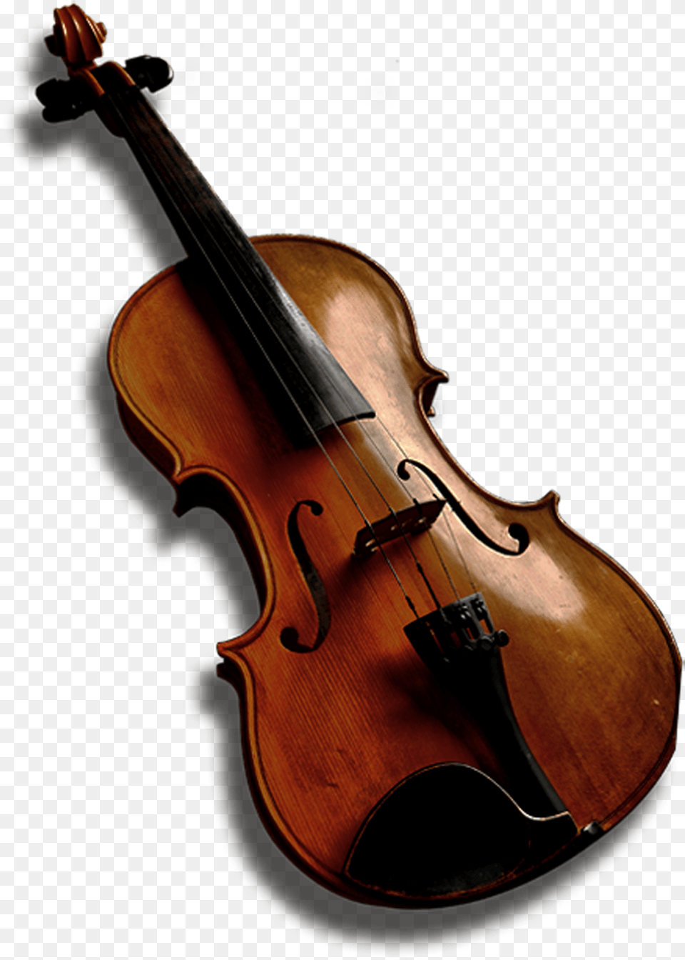 Bass Violin Viola Violone Double Bass Bass Violin, Musical Instrument, Cello Png