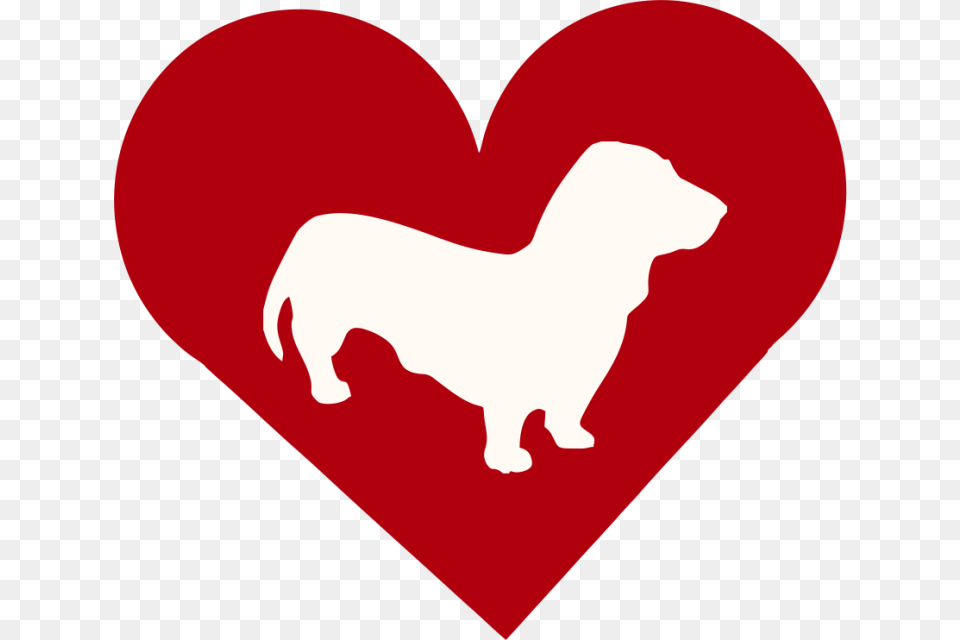 Basset Bleu De Gascogne In Heart Outdoor Vinyl Silhouette Basset Bleu De Gascogne, Baby, Person Free Png