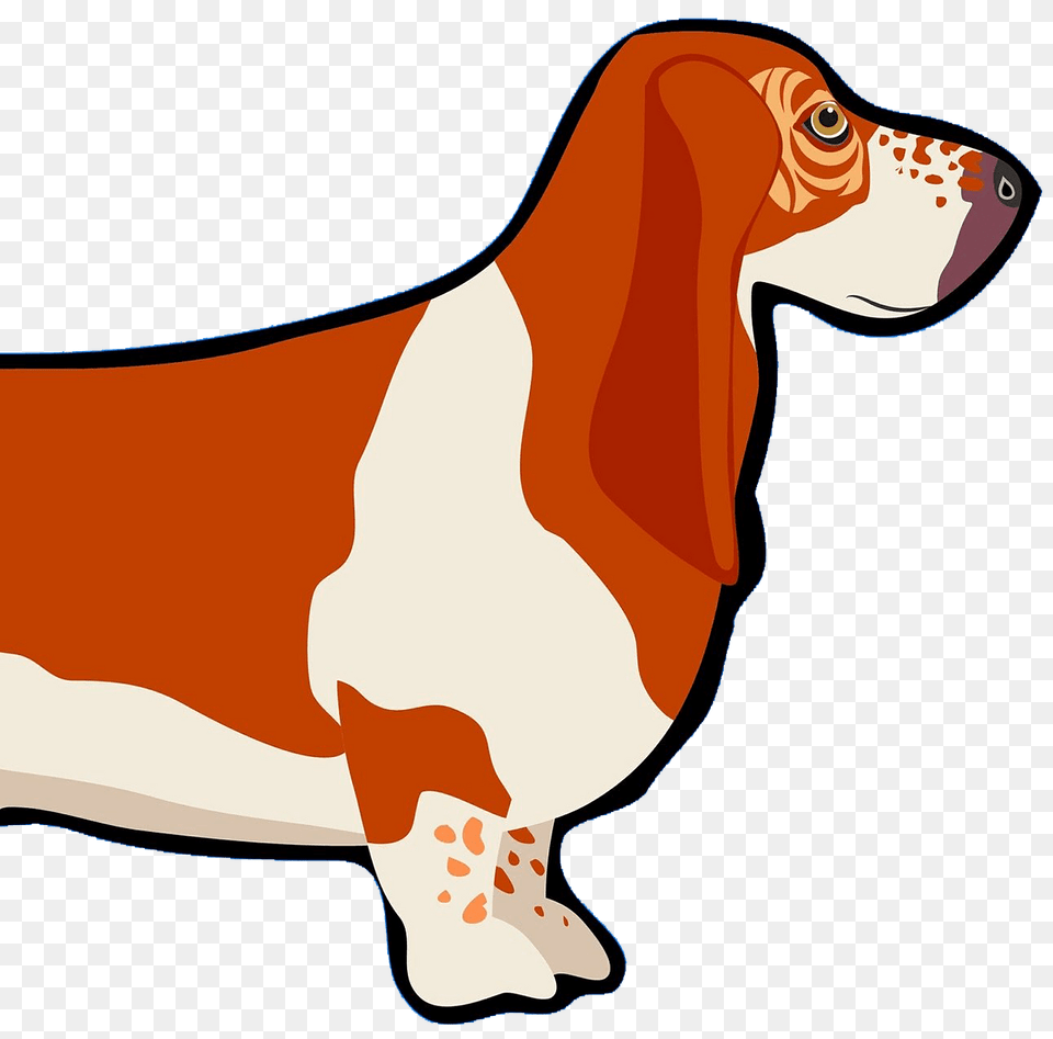 Basset Clipart, Animal, Canine, Dog, Hound Free Png Download