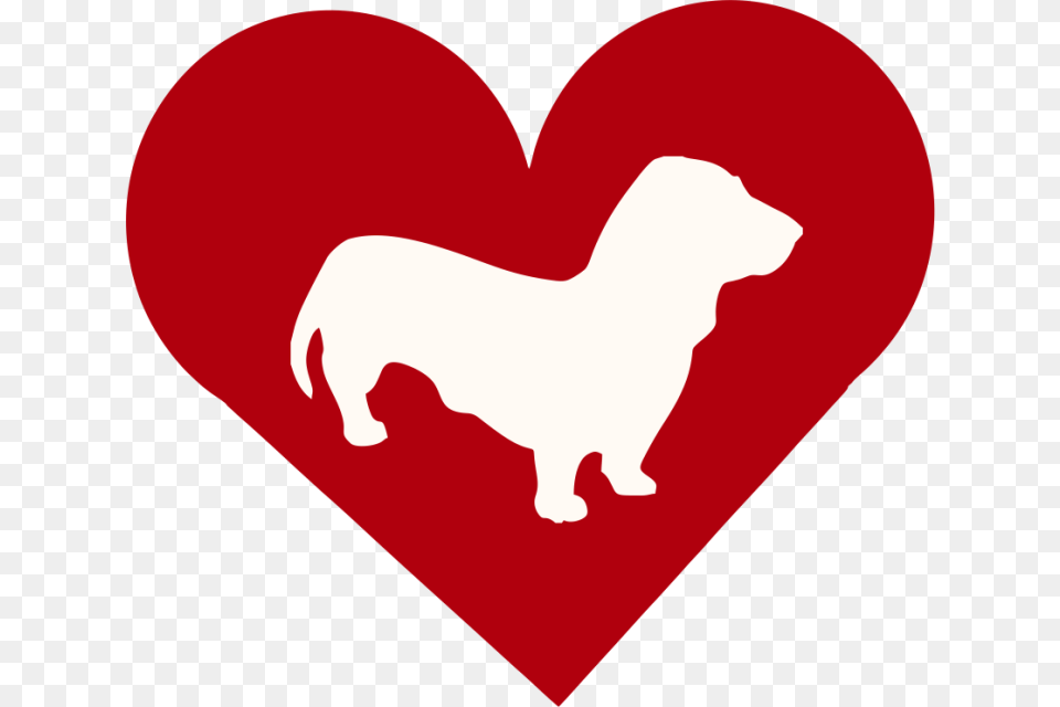 Basset Hound Dog Breed, Heart, Baby, Person Free Png