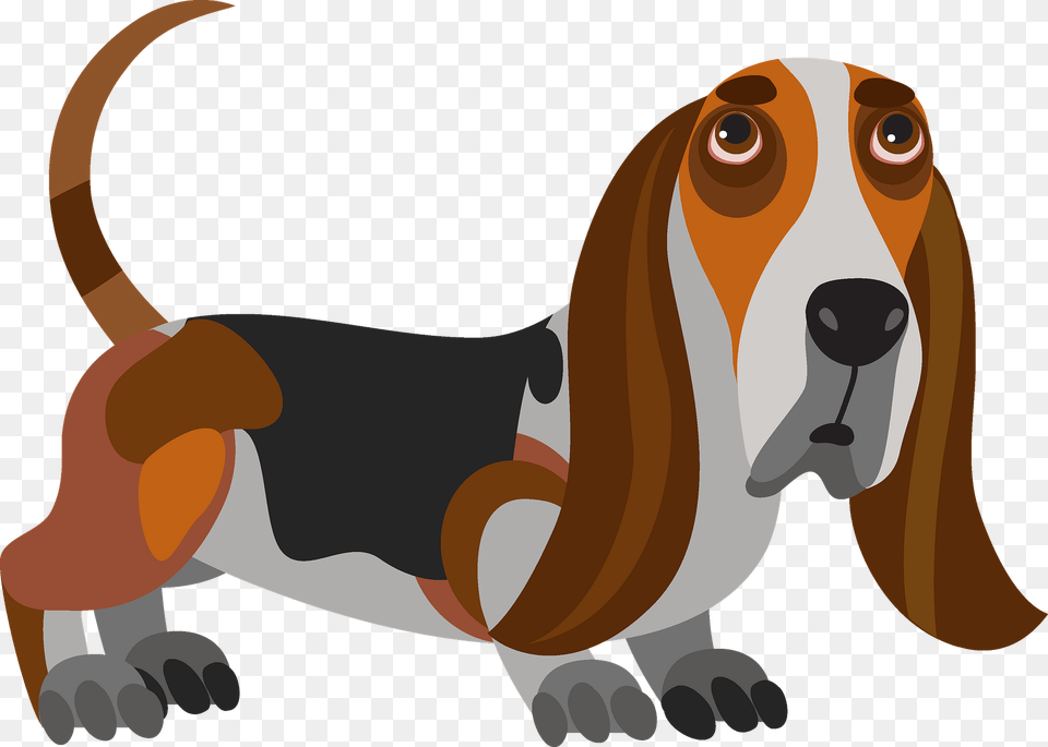 Basset Hound Dog Clipart, Animal, Pet, Mammal, Canine Png