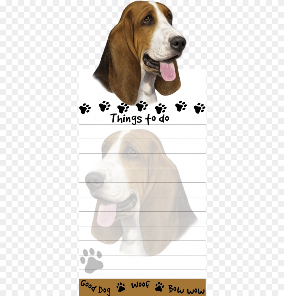 Basset Hound Dog Notepads Stationery, Animal, Canine, Mammal, Pet Png