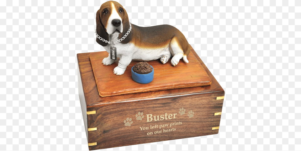 Basset Hound Dog Urn Engraved With Gold Dog Urns Engraved, Animal, Canine, Mammal, Pet Png