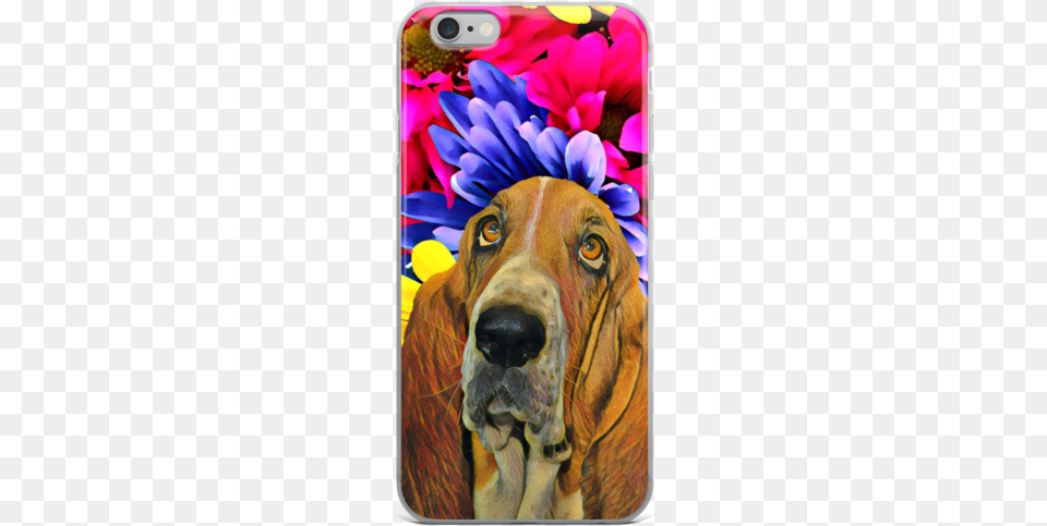 Basset Hound Iphone Case My Basset Hound Notebook, Animal, Pet, Mammal, Dog Free Png