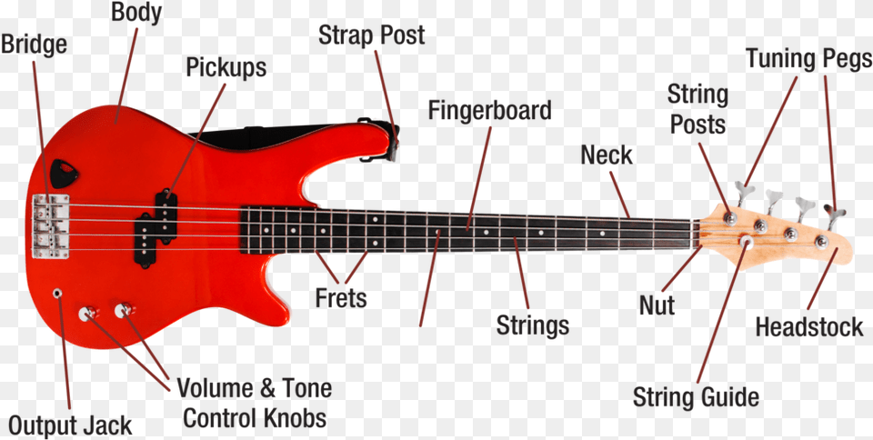 Bassguitar Diagram Image Diagram Of A Bass Guitar, Bass Guitar, Musical Instrument Free Transparent Png