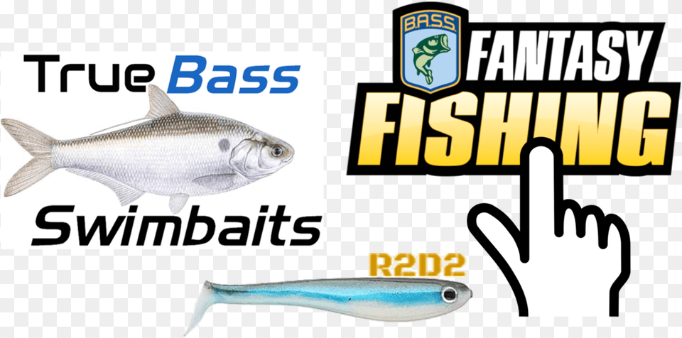 Bassmaster Fantasy Fishing Fishing, Animal, Fish, Sea Life, Food Free Png
