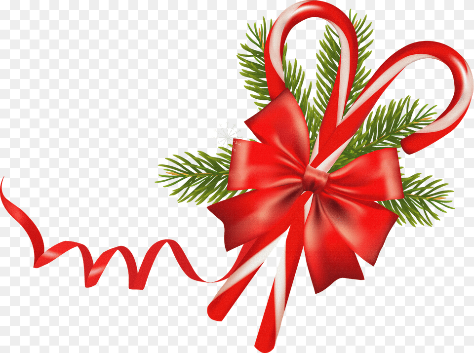 Bastones De Navidad Feliz Navidad Y Nuevo Portada Facebook, Plant, Flower Free Transparent Png