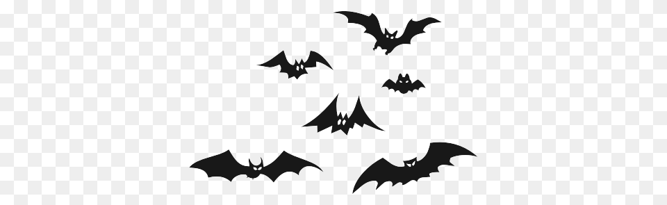 Bat, Logo, Symbol, Animal, Cat Png Image