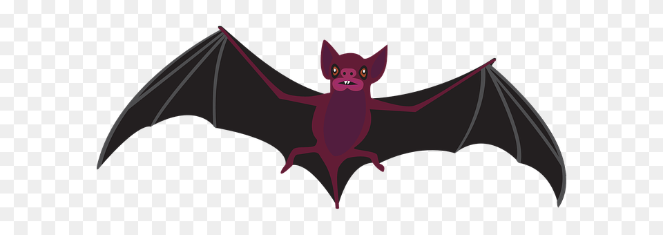 Bat Animal, Mammal, Wildlife Free Png