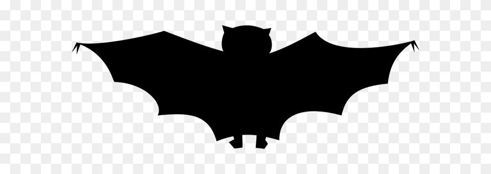Bat Gray Png Image