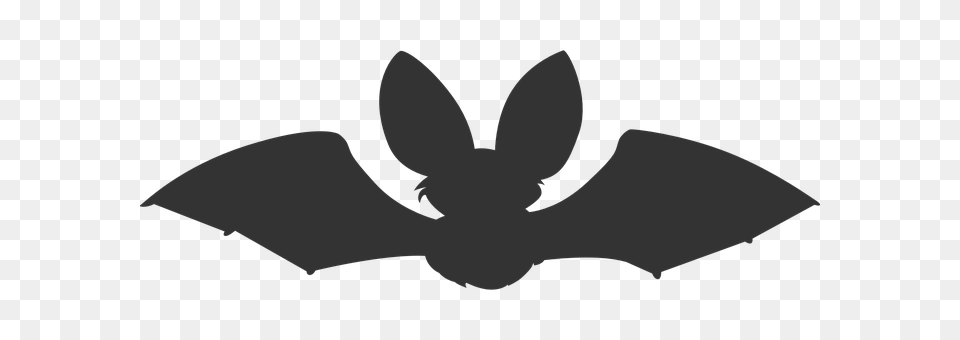 Bat Logo, Symbol Png