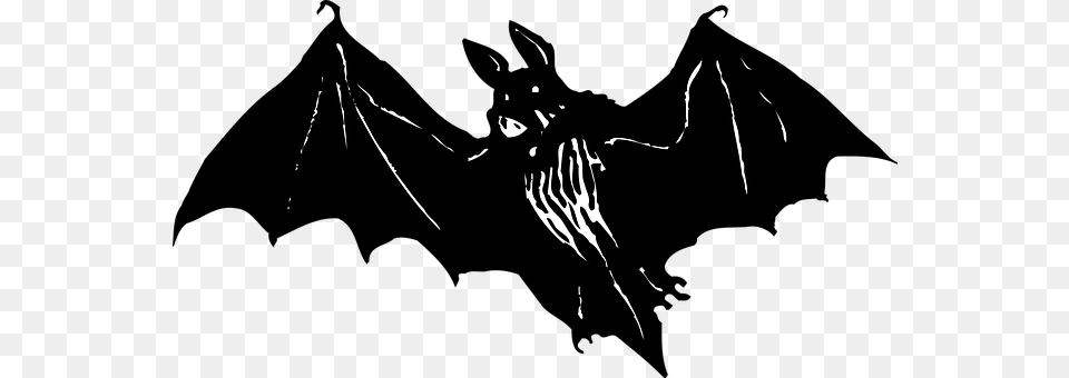 Bat Adult, Female, Person, Woman Free Transparent Png