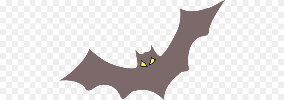 Bat Animal, Mammal, Logo, Wildlife Free Transparent Png