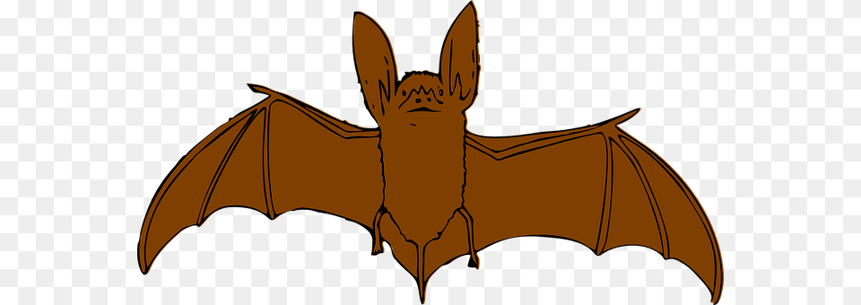 Bat Animal, Mammal, Person, Wildlife Free Png