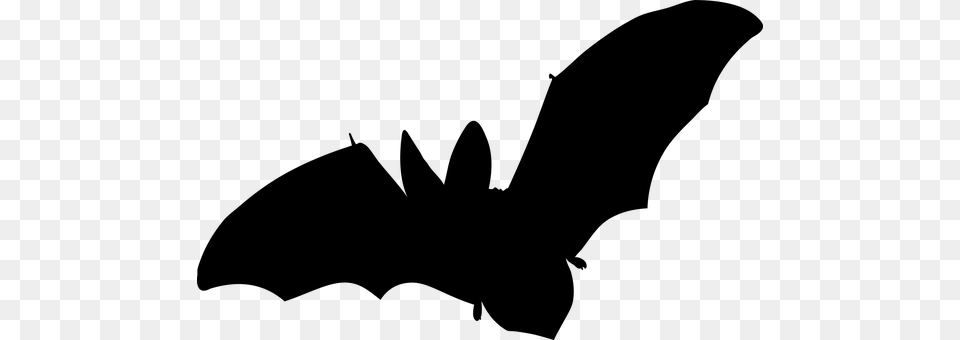 Bat Gray Free Png
