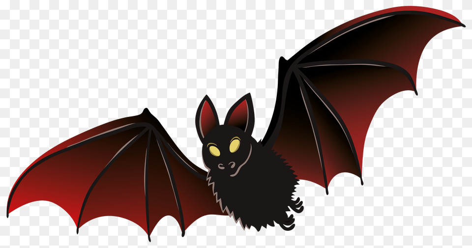 Bat, Animal, Mammal, Wildlife, Dynamite Free Png