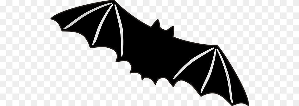 Bat Animal, Mammal, Wildlife, Bow Png Image