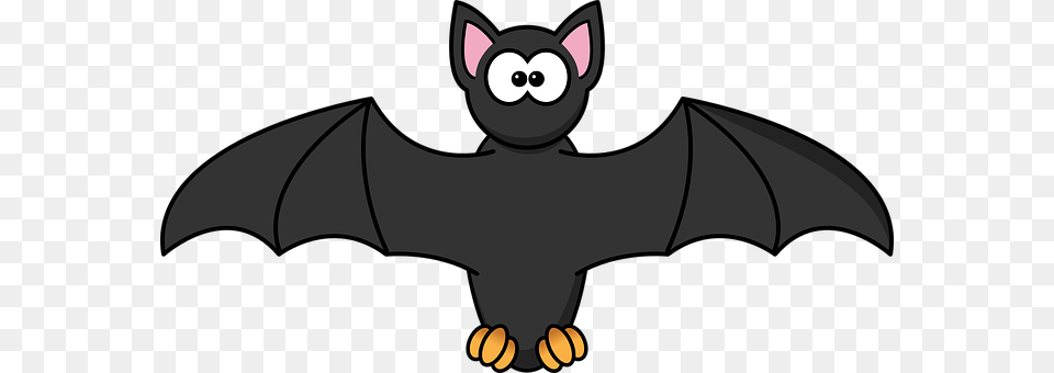 Bat Animal, Mammal, Wildlife, Bear Free Png Download