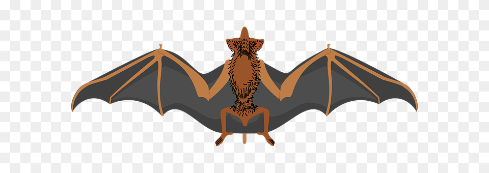 Bat Animal, Mammal, Wildlife, Smoke Pipe Png