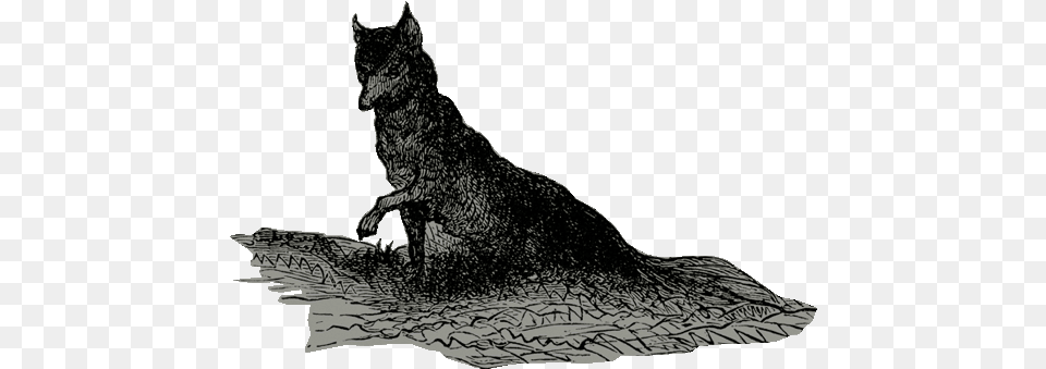 Bat, Animal, Coyote, Mammal, Wolf Free Png