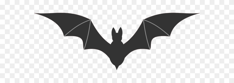 Bat Animal, Mammal, Wildlife, Smoke Pipe Free Png Download