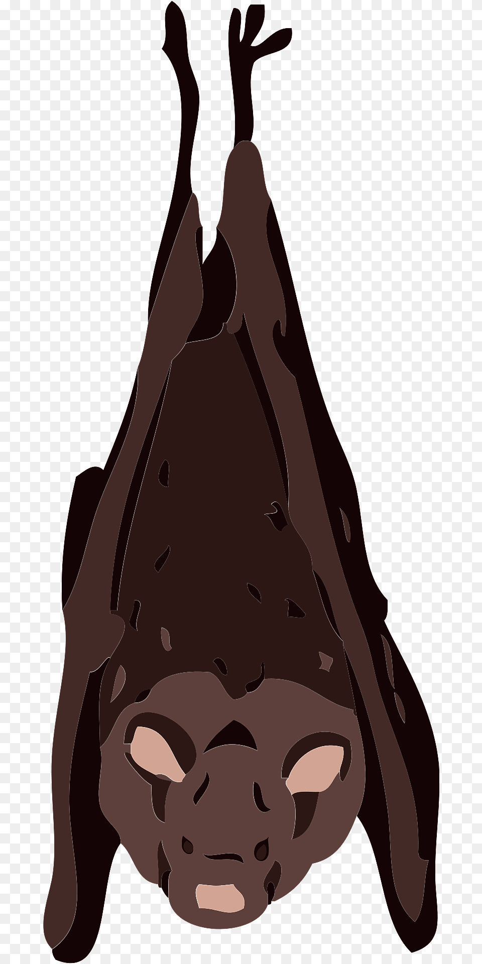 Bat Animal Clipart, Mammal, Wildlife, Face, Head Png Image