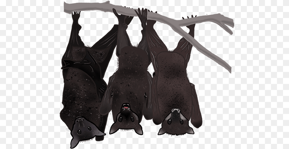 Bat Animated Gif, Animal, Mammal, Wildlife Free Transparent Png