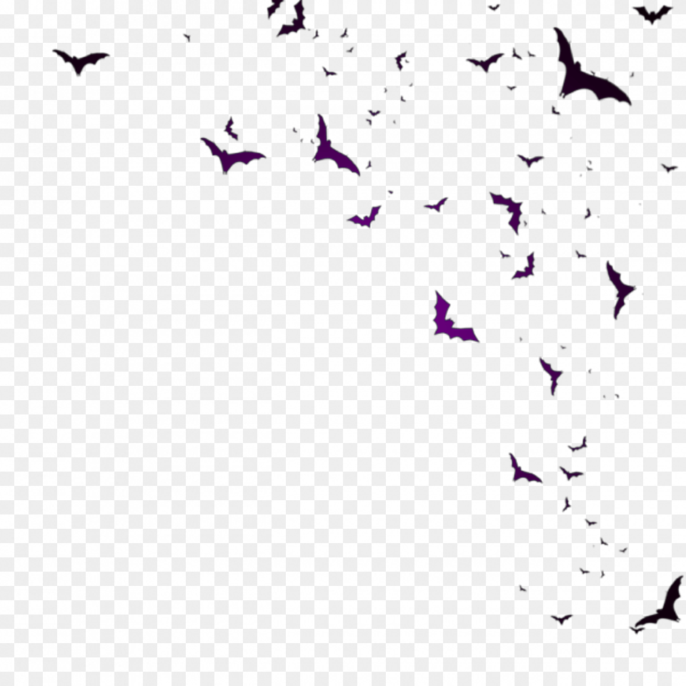 Bat Bats Murcielago Murcilago Murcielagos Murcilagos, Purple, Paper, Confetti Png Image