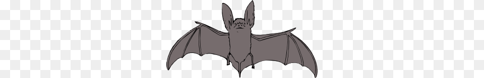 Bat Clip Art, Animal, Mammal, Wildlife Free Png