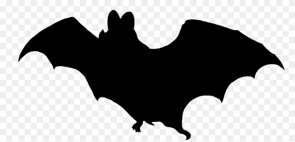 Bat Clipart, Animal, Mammal, Logo, Wildlife Png Image