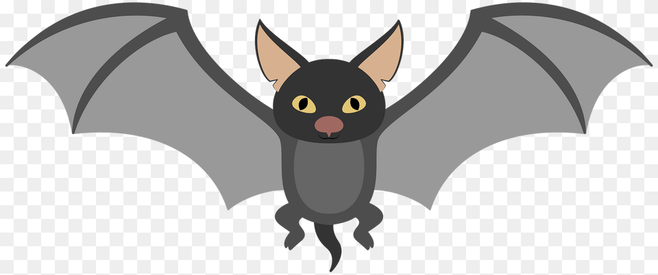 Bat Clipart, Animal, Kangaroo, Mammal, Wildlife Free Transparent Png