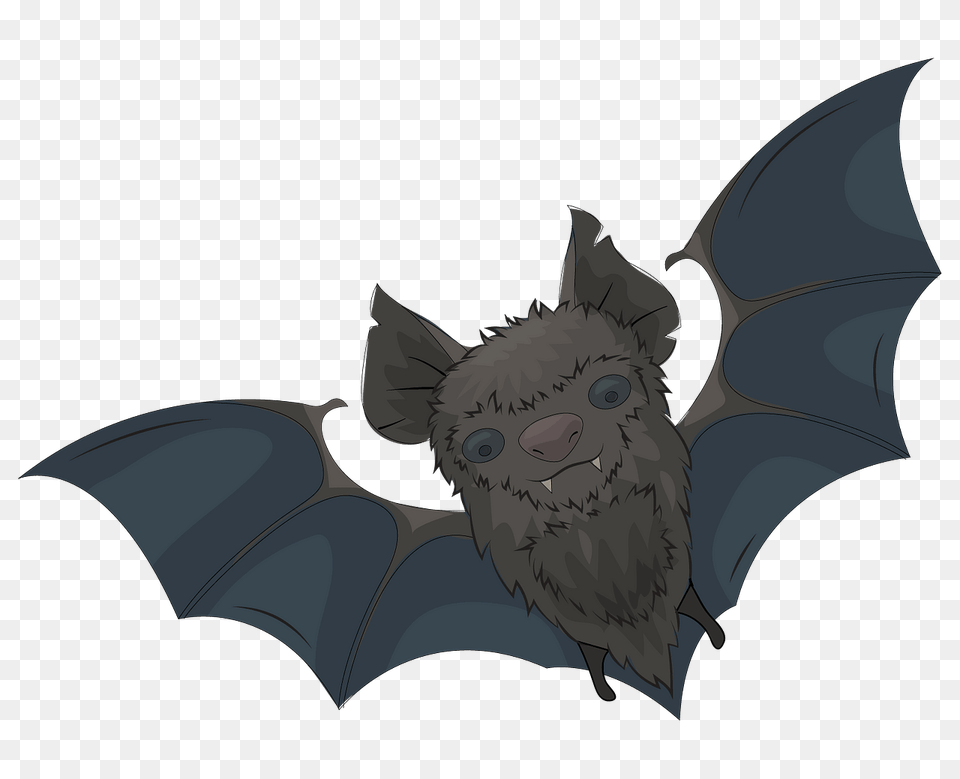 Bat Clipart, Animal, Mammal, Wildlife, Fish Free Png