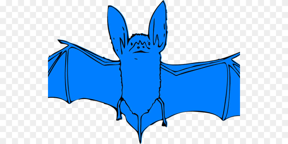 Bat Clipart Hat, Animal, Mammal, Wildlife, Baby Free Transparent Png