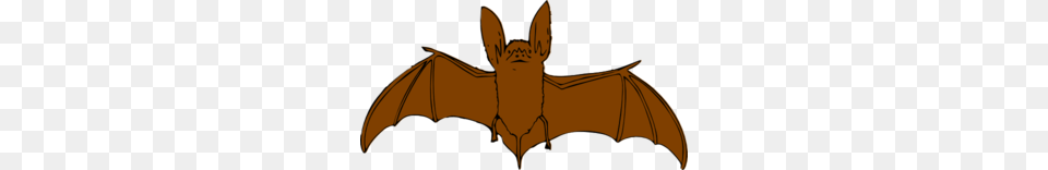 Bat Clipart Orange, Animal, Mammal, Wildlife Free Png Download