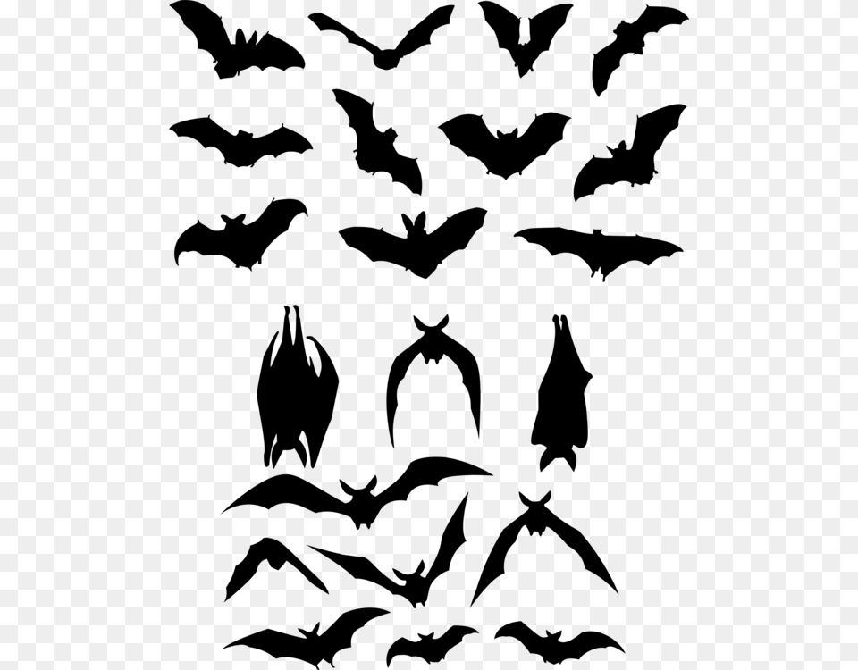 Bat Flight Silhouette Logo, Gray Png