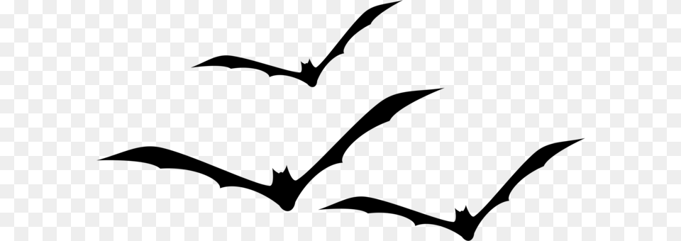 Bat Flight Silhouette Logo, Gray Png