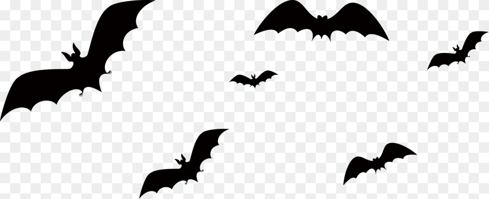 Bat Halloween Bat Silhouette, Animal, Mammal, Wildlife, Bird Png Image