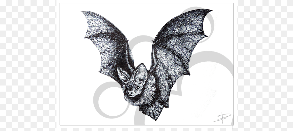 Bat Inkling, Animal, Mammal, Wildlife Free Png