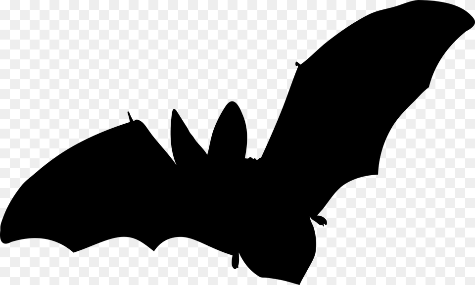 Bat Mammal Flying No Background Vector Fledermaus Silhouette, Gray Free Png Download