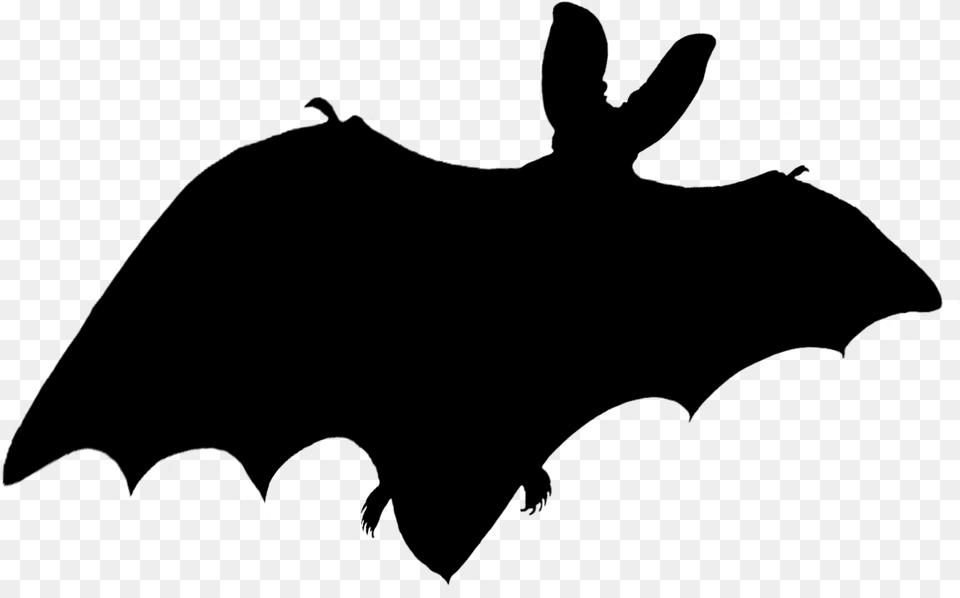 Bat Shadow Bat Shadow, Gray Free Transparent Png
