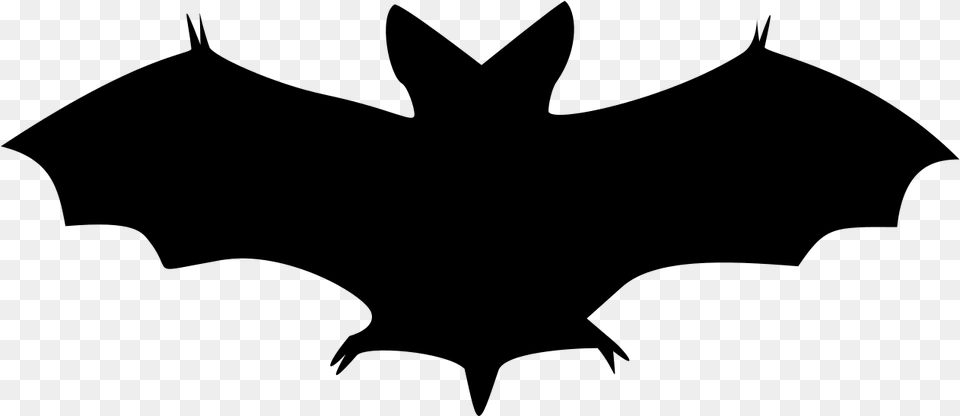 Bat Shadow Black Halloween Bat Clipart, Gray Png