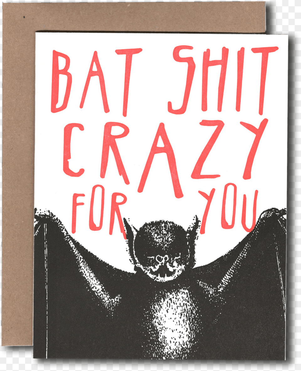 Bat Shit Crazy Fictional Character, Animal, Mammal, Wildlife, Cat Free Png Download