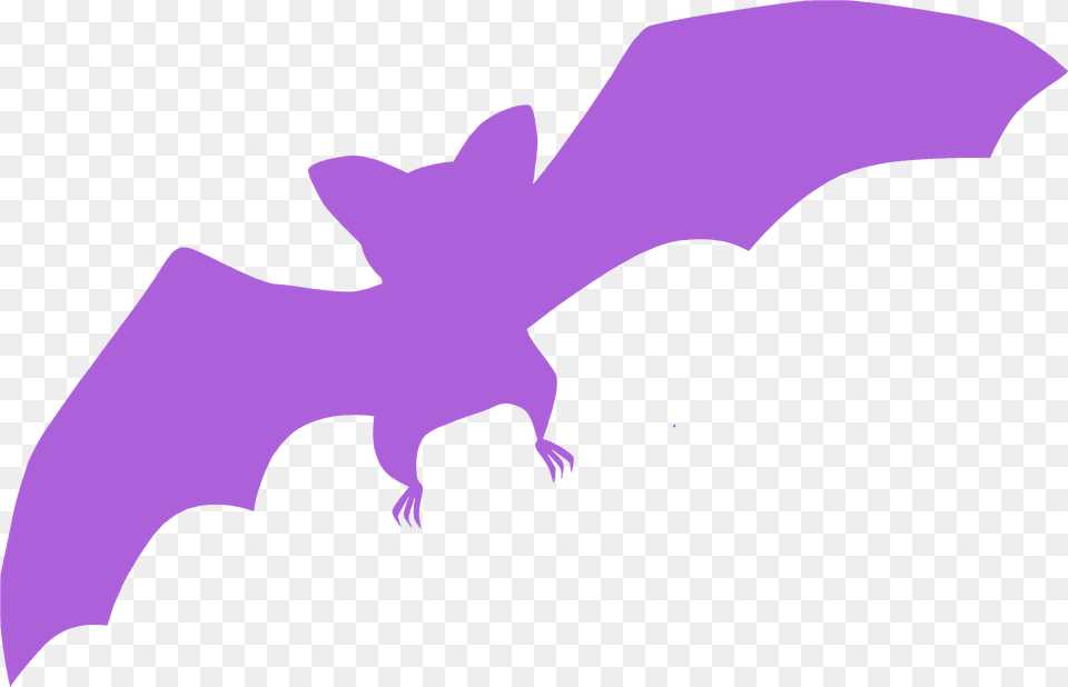 Bat Silhouette, Animal, Wildlife, Mammal Png