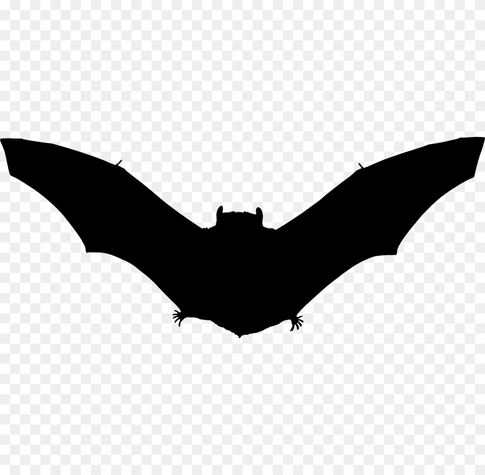 Bat Silhouette Download Free Transparent Png