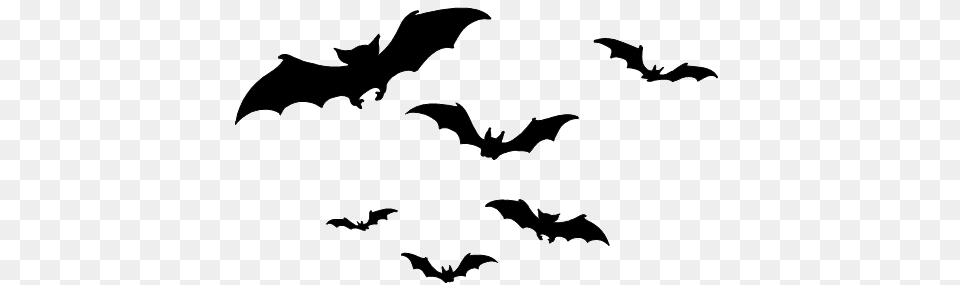 Bat Silhouette Pic Arts, Animal, Mammal, Bird, Wildlife Free Transparent Png