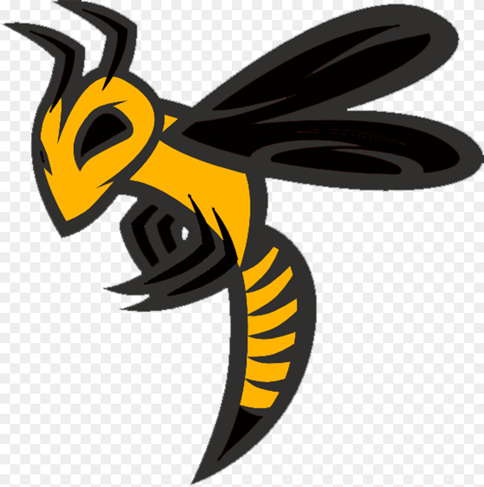 Bat Swarm Ohio Swarm 8u Baseball, Animal, Bee, Insect, Invertebrate Free Transparent Png