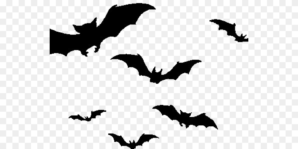 Bat Images Bat Silhouette, Animal, Mammal, Wildlife Free Transparent Png